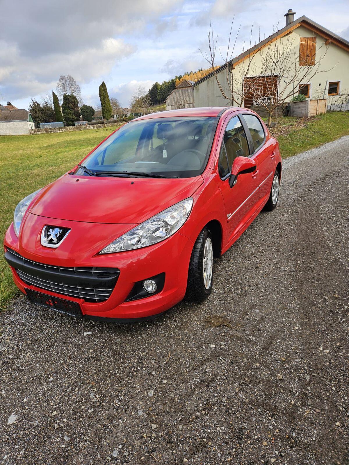 Peugeot 207 Husky 3