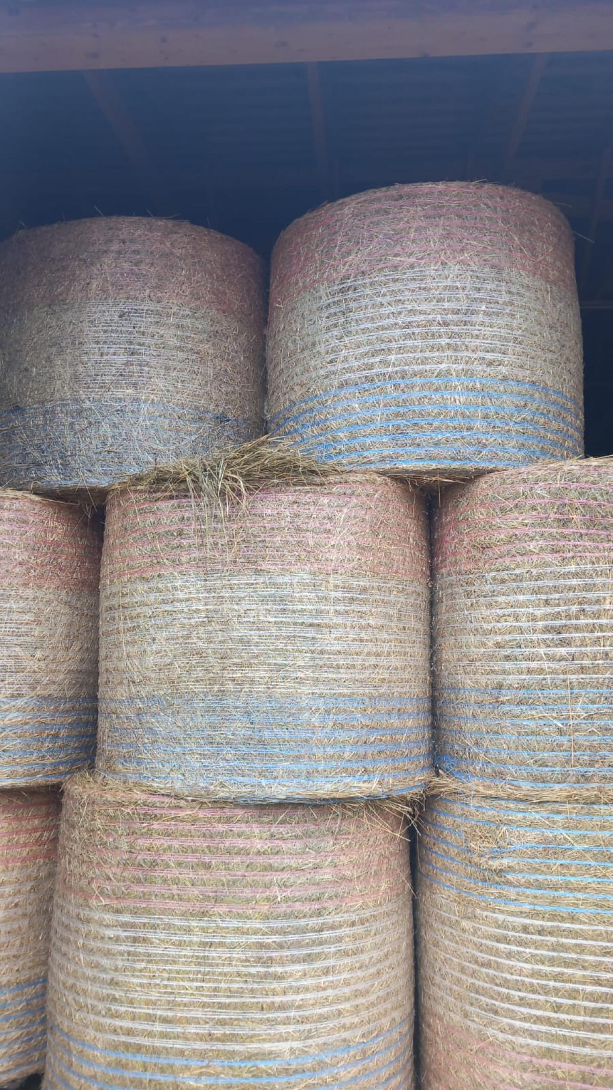 Heu zu verkaufen – 1. Schnitt 2