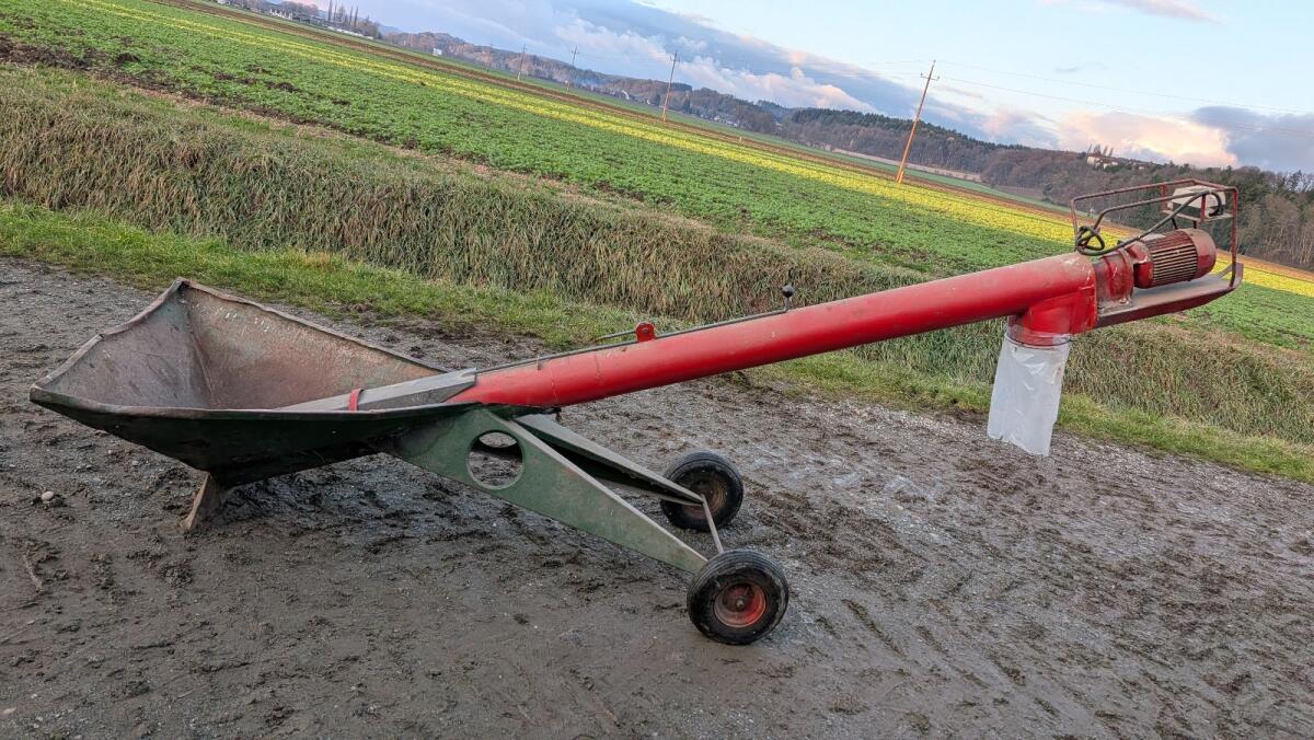 Körnerschnecke, Musschnecke 1