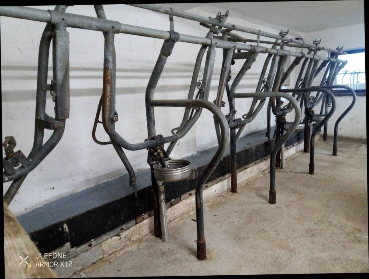 Aufstallung Fa. Braun 1