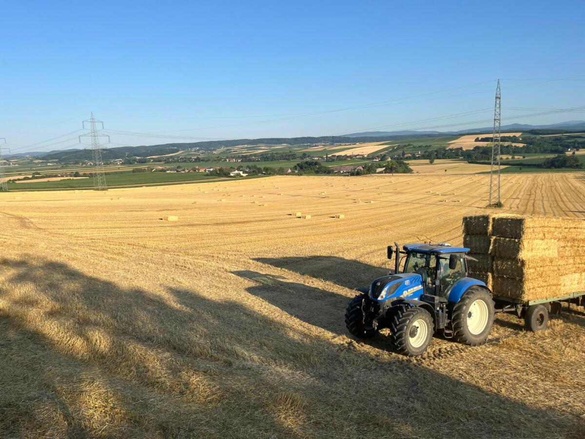 1-2 Praktikanten/innen für Sommer 2026 2