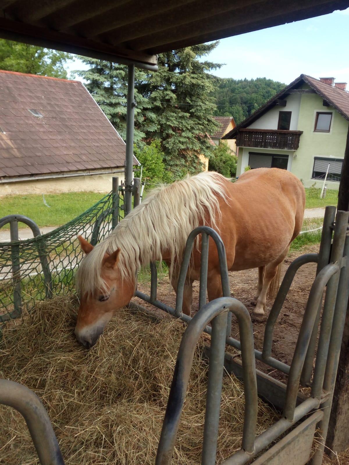 MitreiterIn gesucht 2