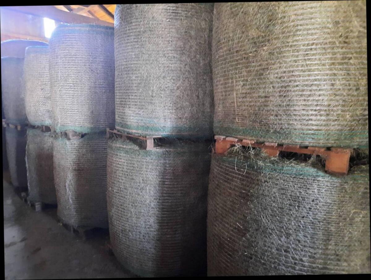 Heu 2. Schnitt Grummet 1