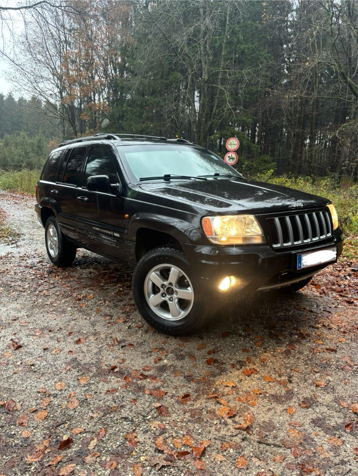 Jeep Grand Cherokee WJ VISION (limitiert auf 333 Stk.) 3