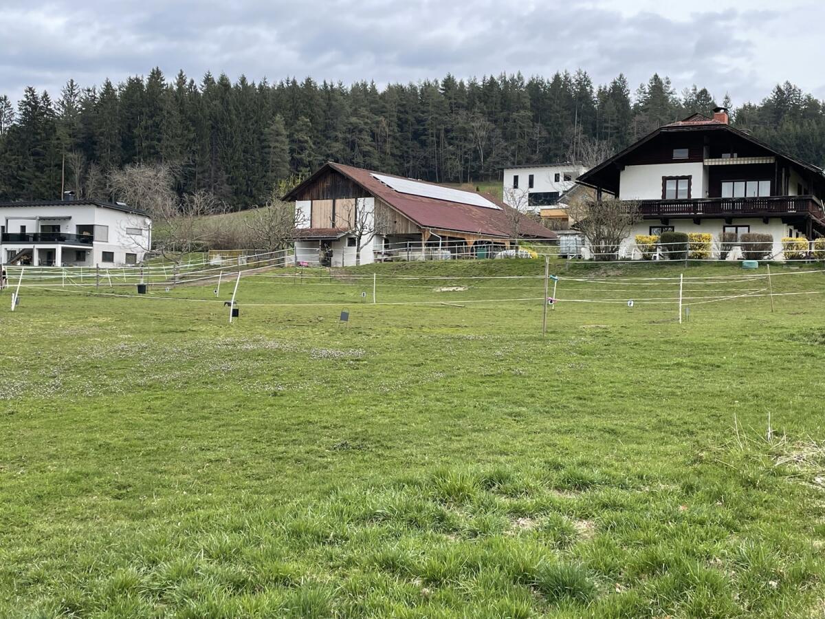 Offenstall für Selbstversorger 3