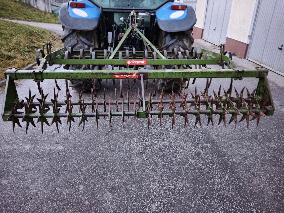 Regent Federzinkengrubber 2