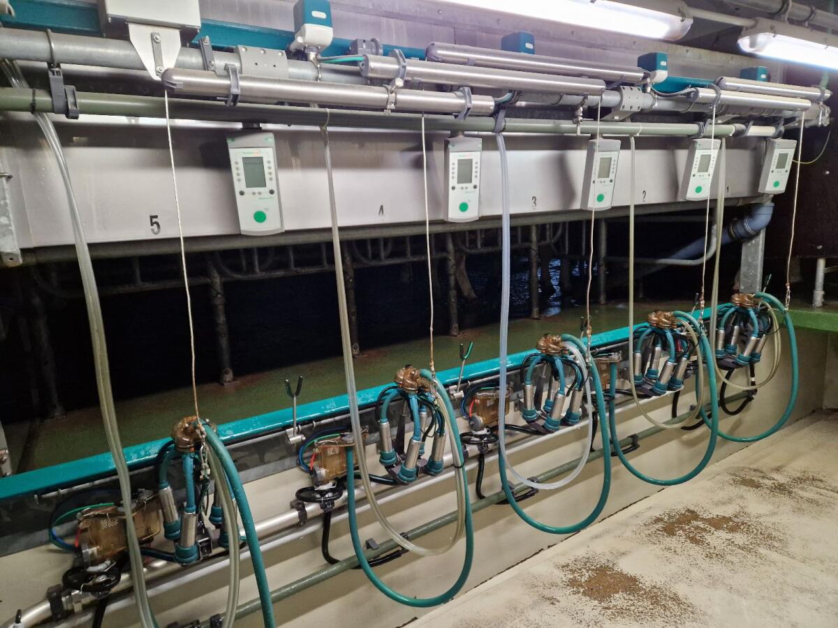 GEA Melkstand, Kraftfutterstation