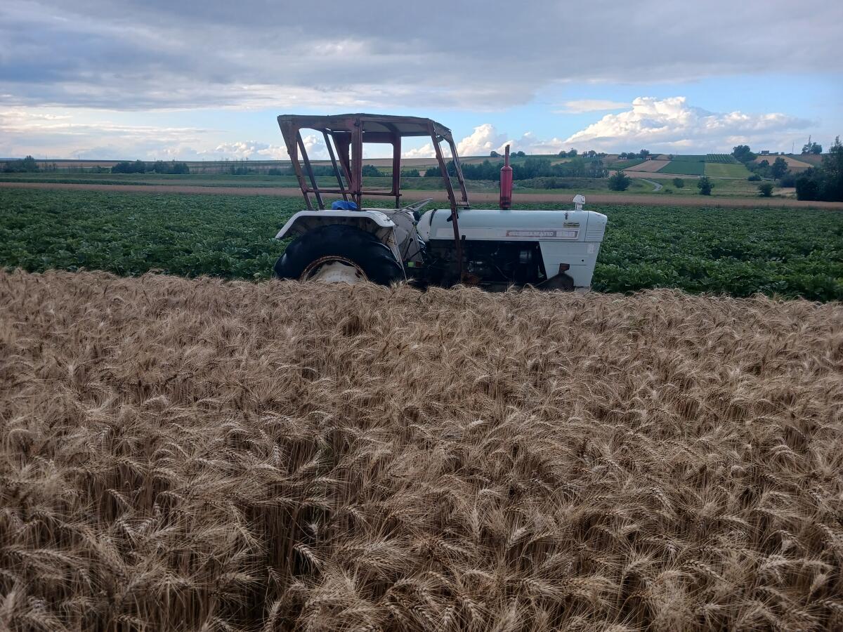 Case David Brown 990 3