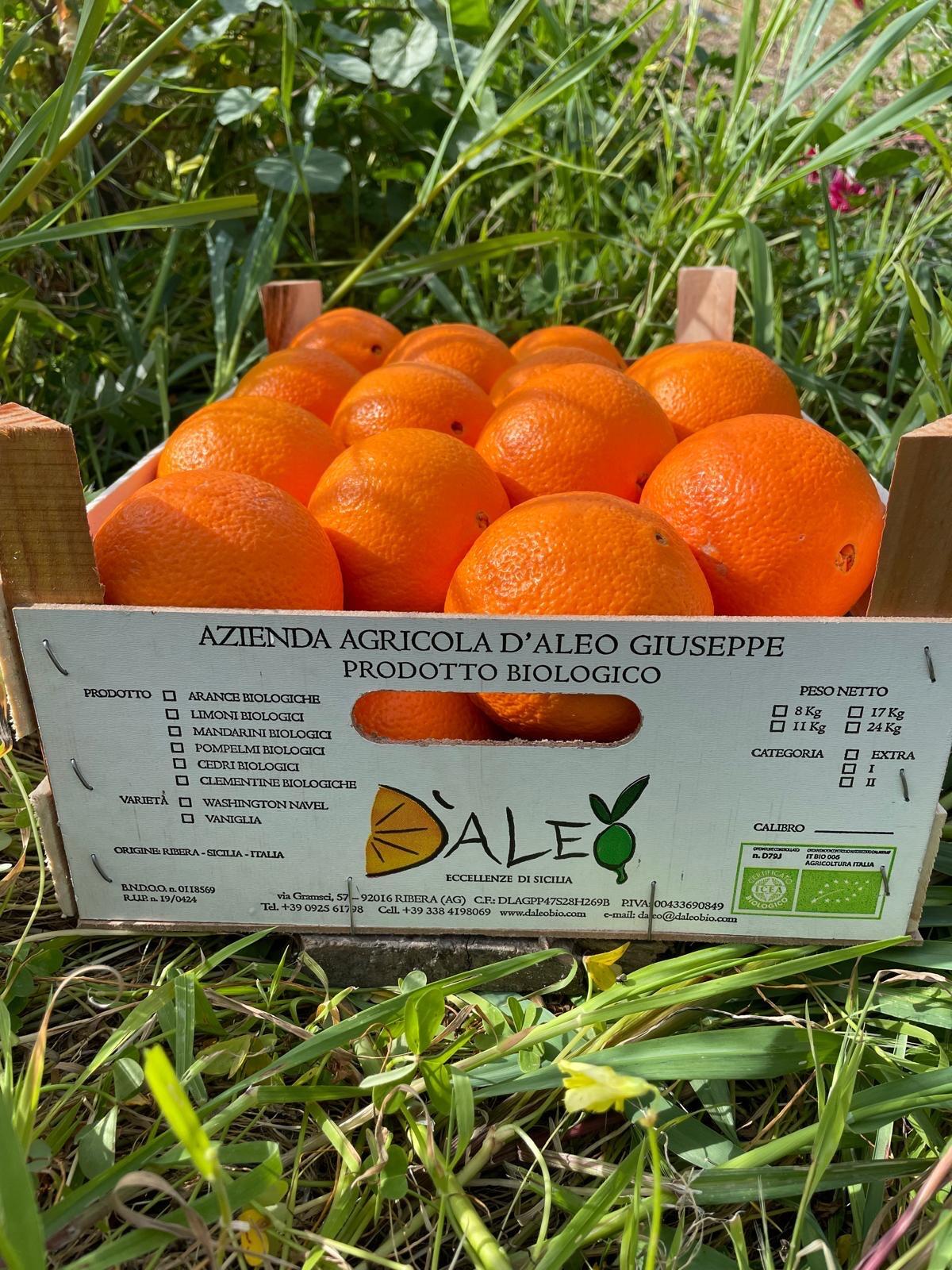 Bioprodukte aus Italien importiert 1