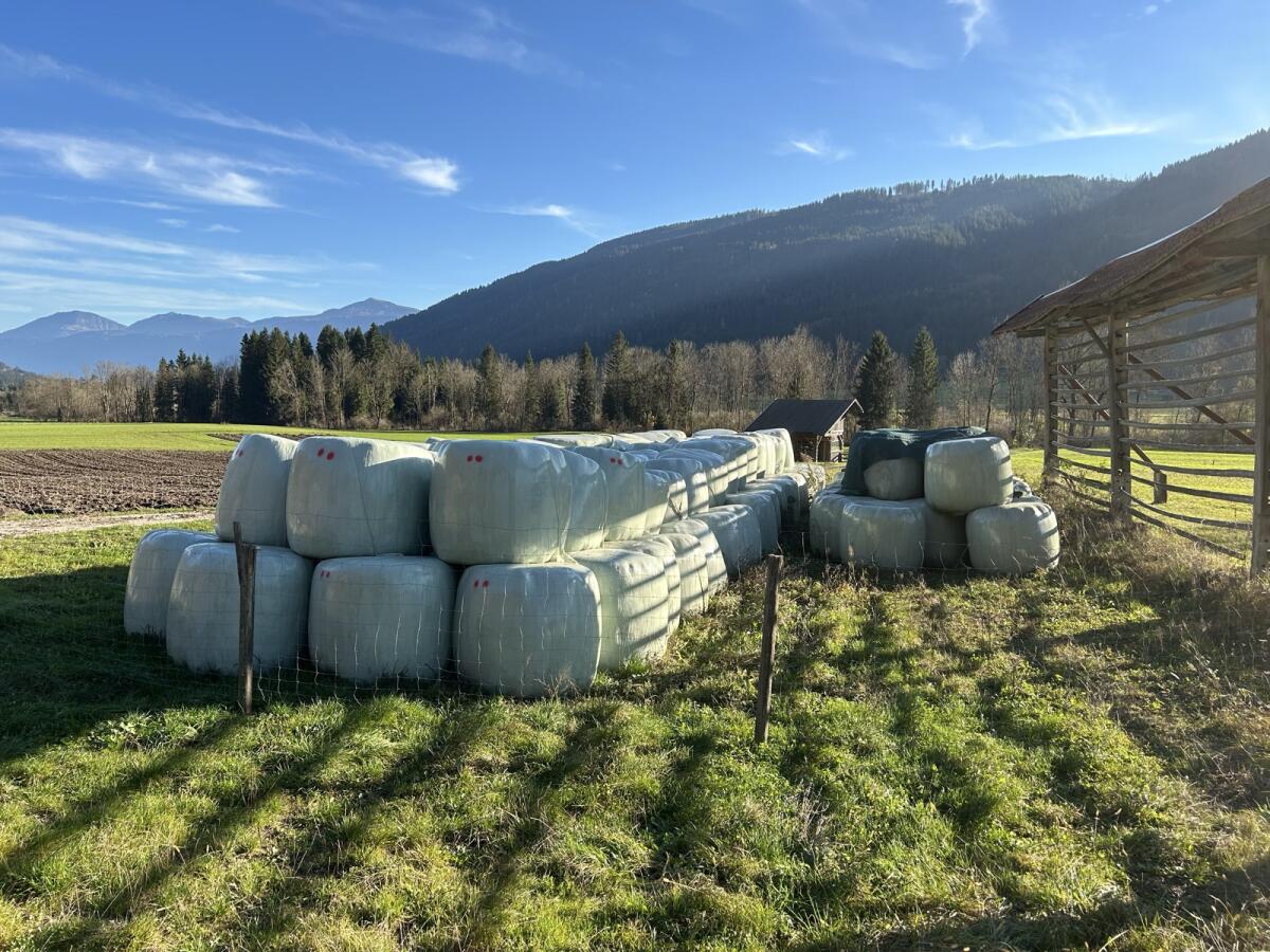 Silageballen 2