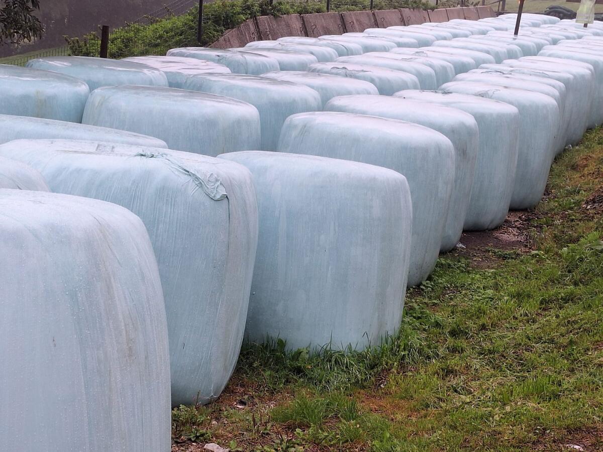 BIO Siloballen abzugeben 1