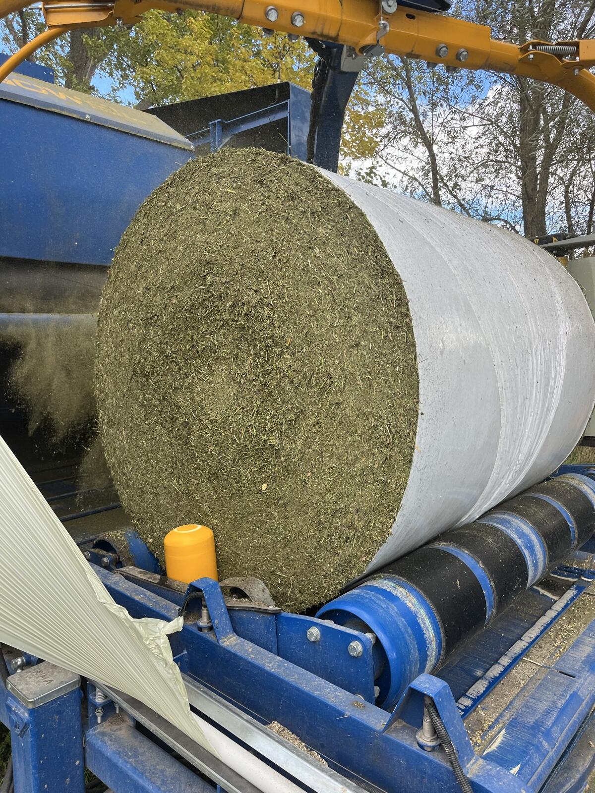 LUZERNE gehäckselt 1