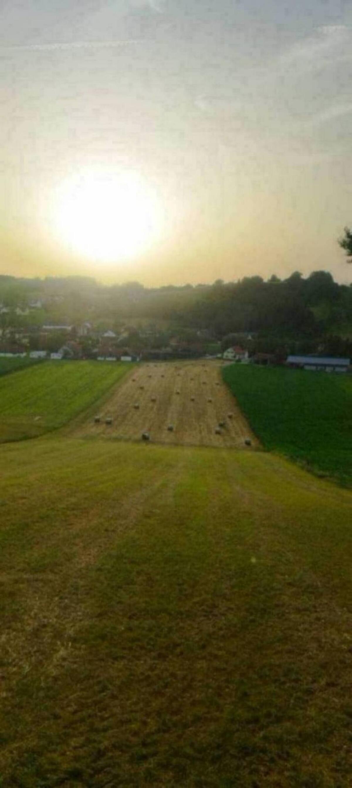 Suche Grünland- und Ackerflächen für Heuerzeugung 1