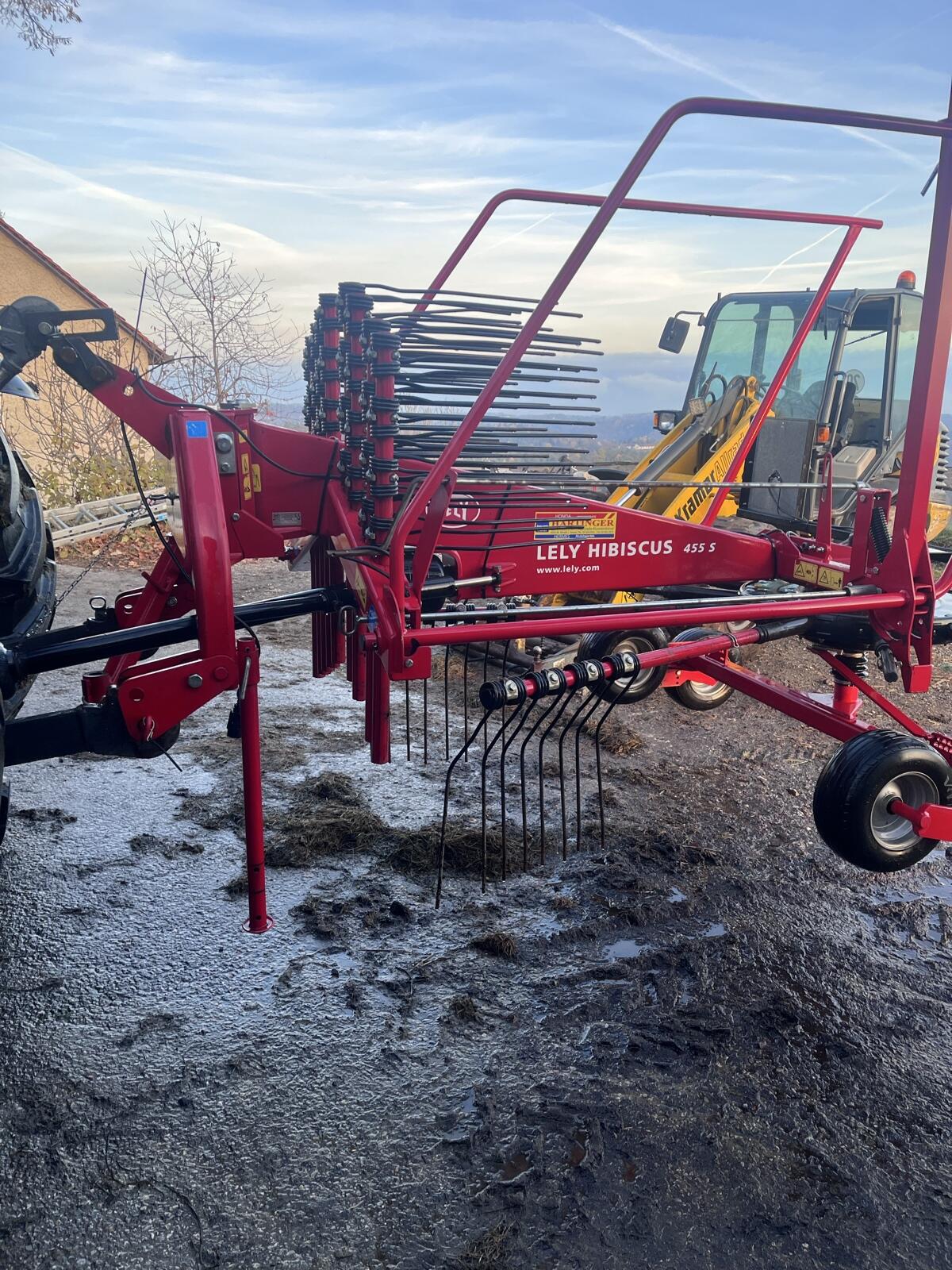 Schwader Lely Hibiscus 455 S 1