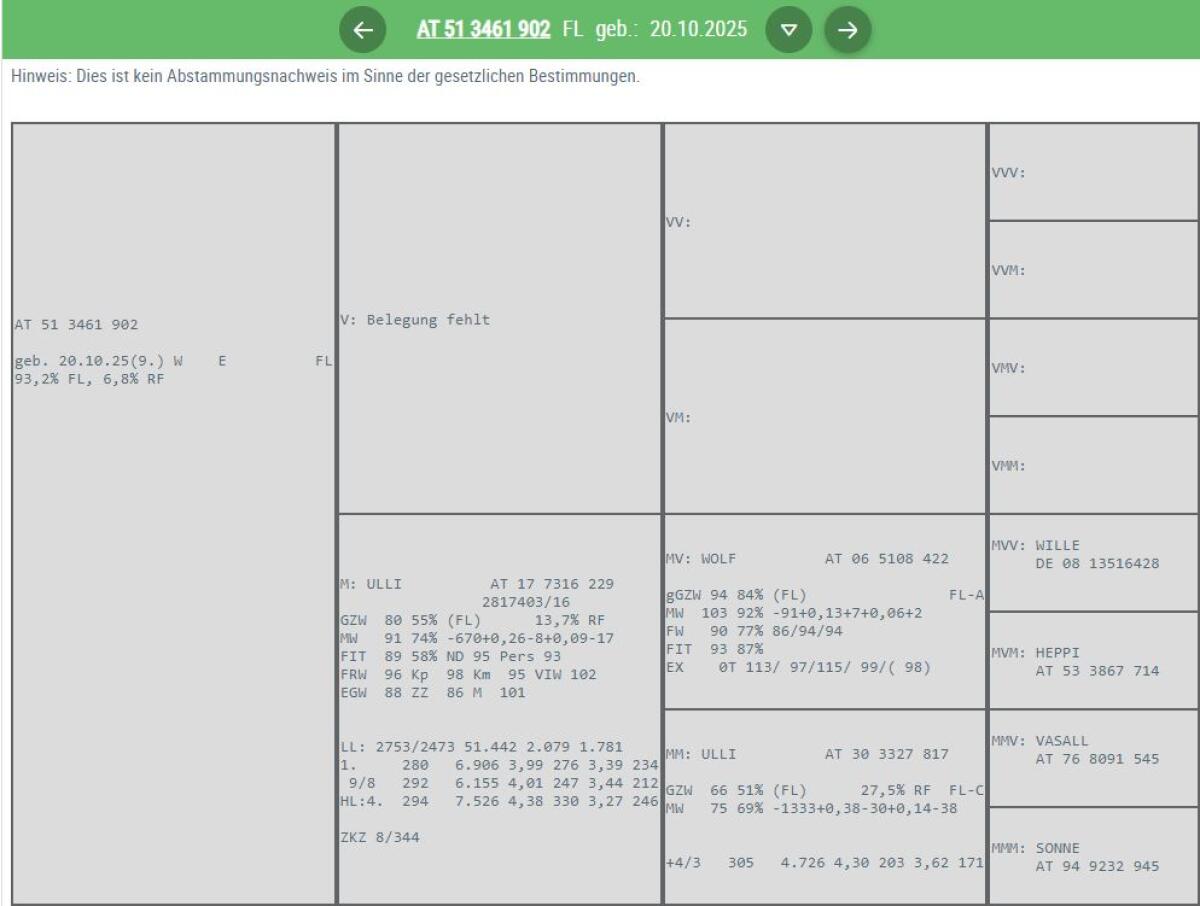 5 Bio FV hornlose Kuhkälber 2