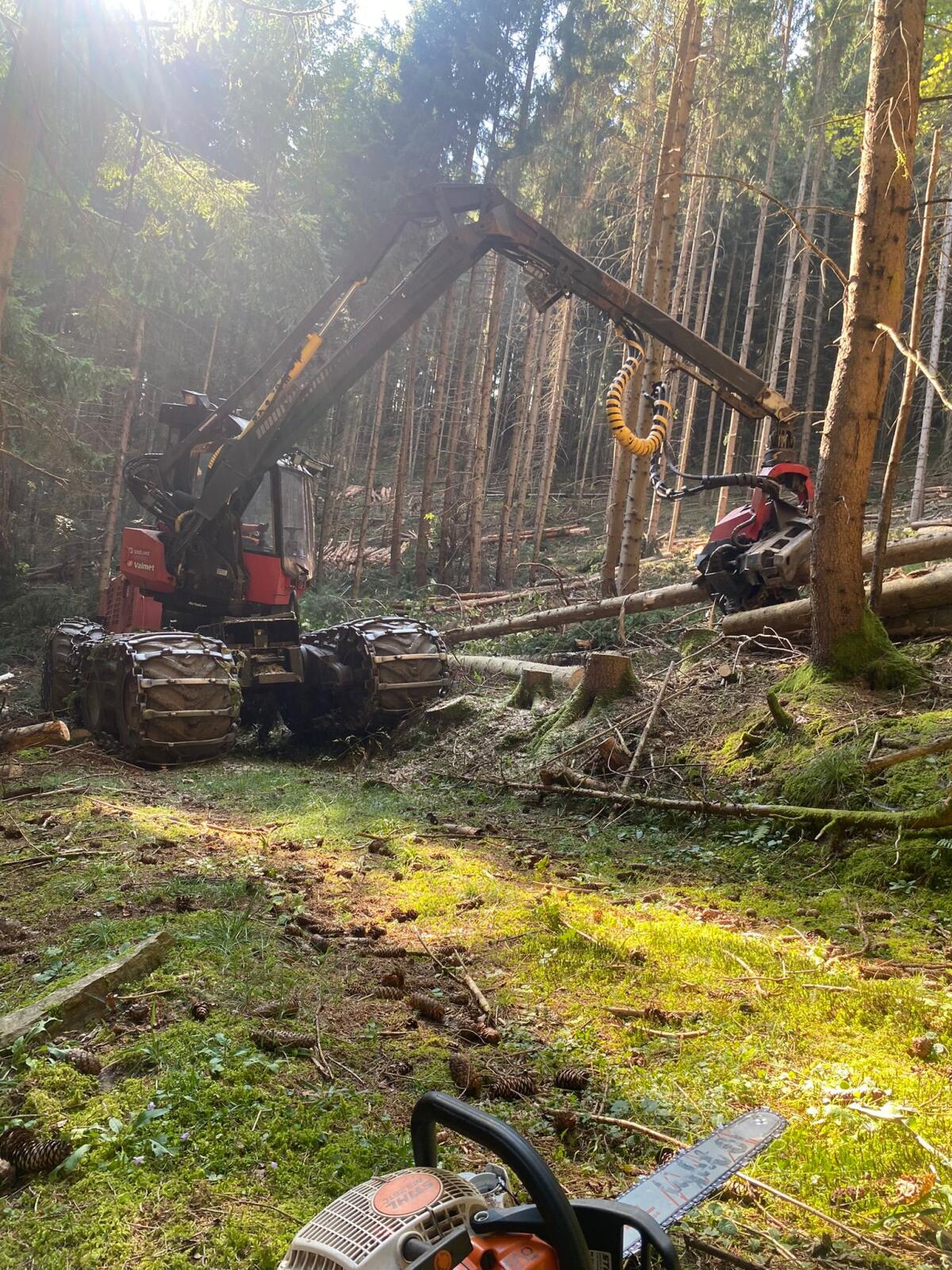 Harvester Komatsu Valmet 901.3 1