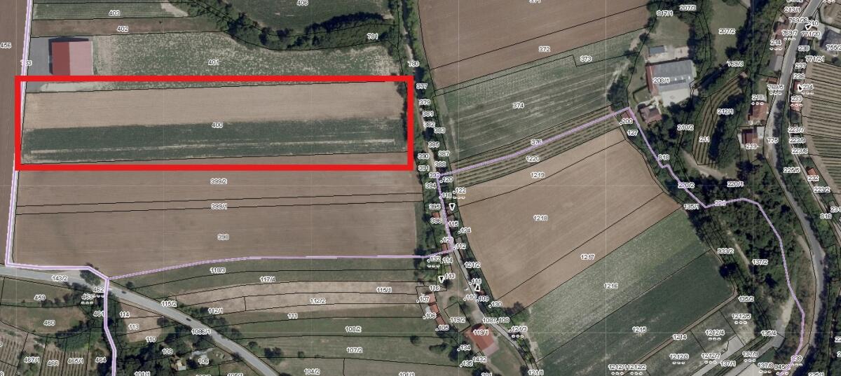 Agrarfläche zu verkaufen Pettendorf/Eggendorf 1