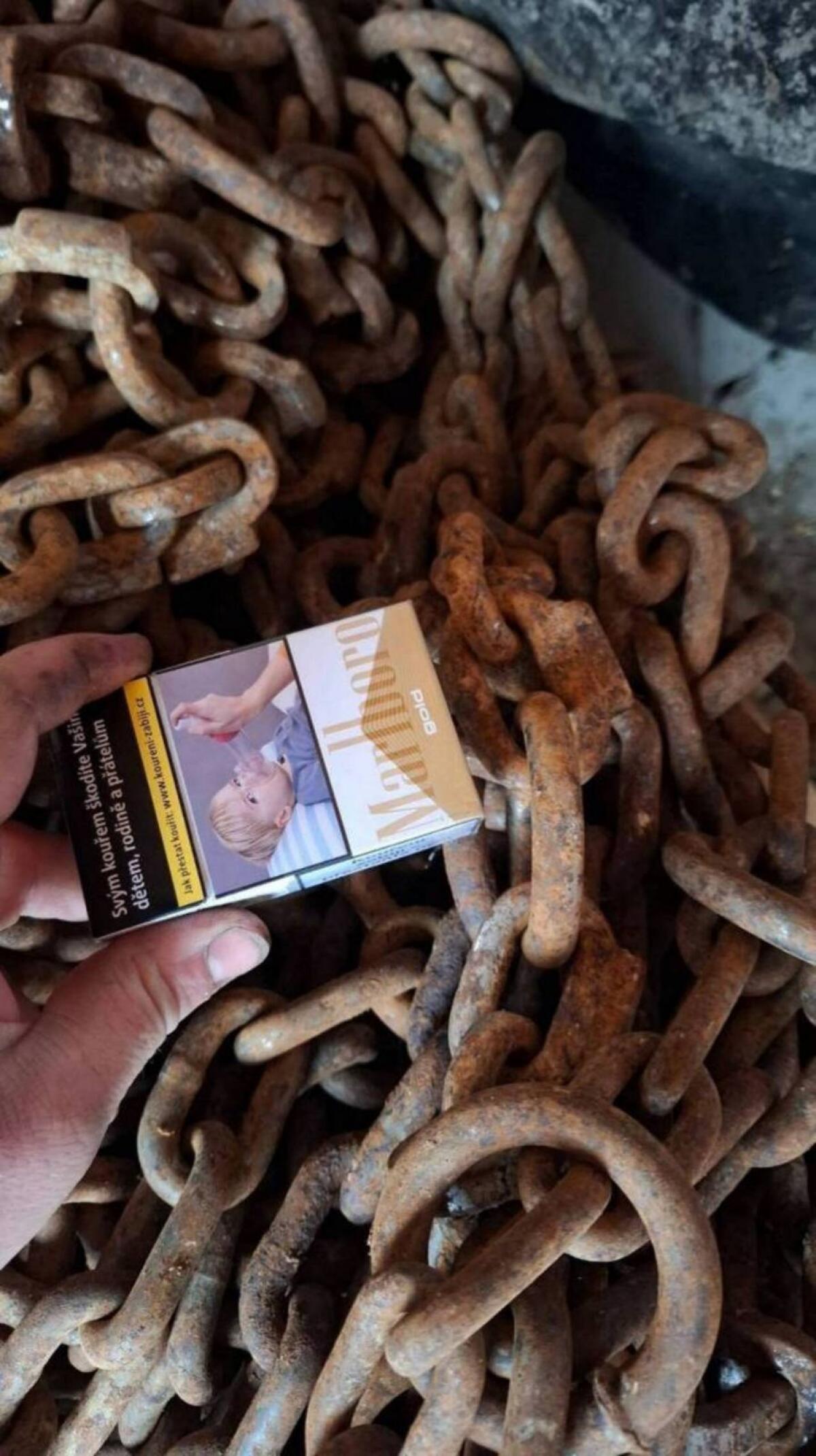 Schneeketten Pewag 540/65 R28 3