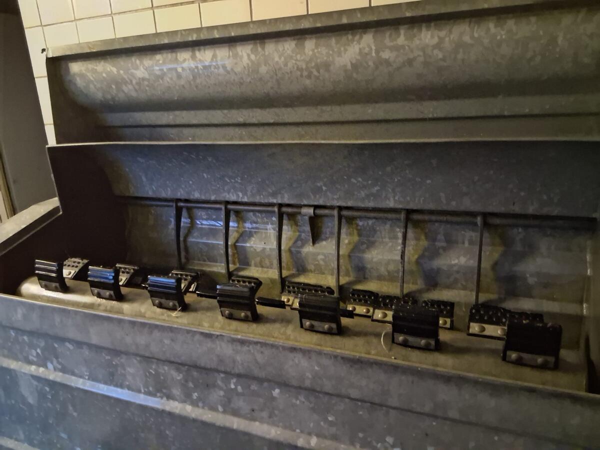 Brüh- und Enthaarungsmaschine für Schweine 2