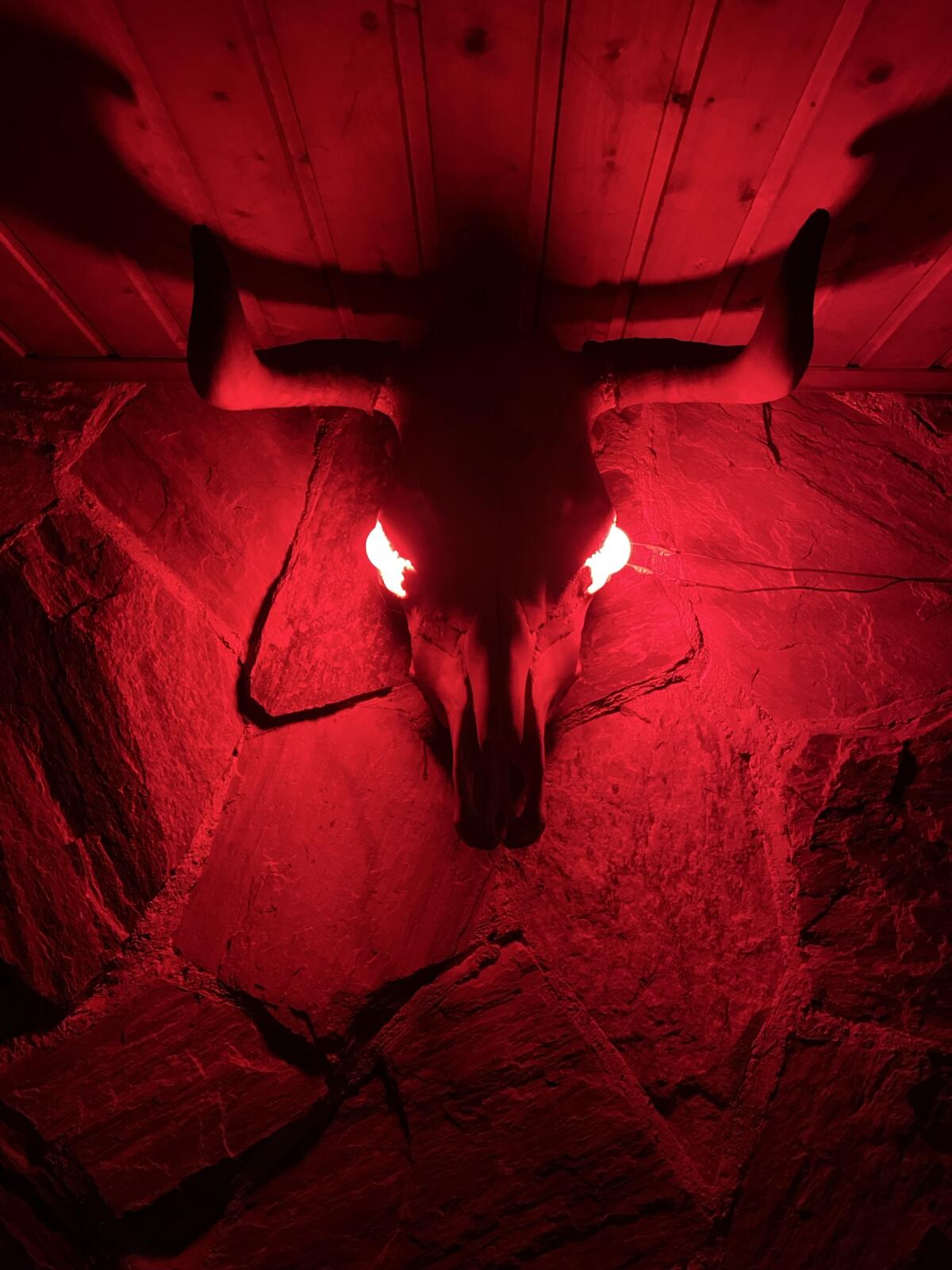 Stierkopf mit LED-Birnen 1