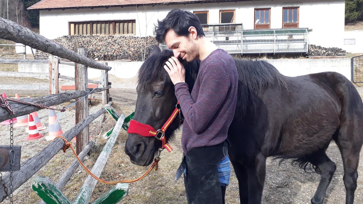 Beistellpferd zu verschenken 2