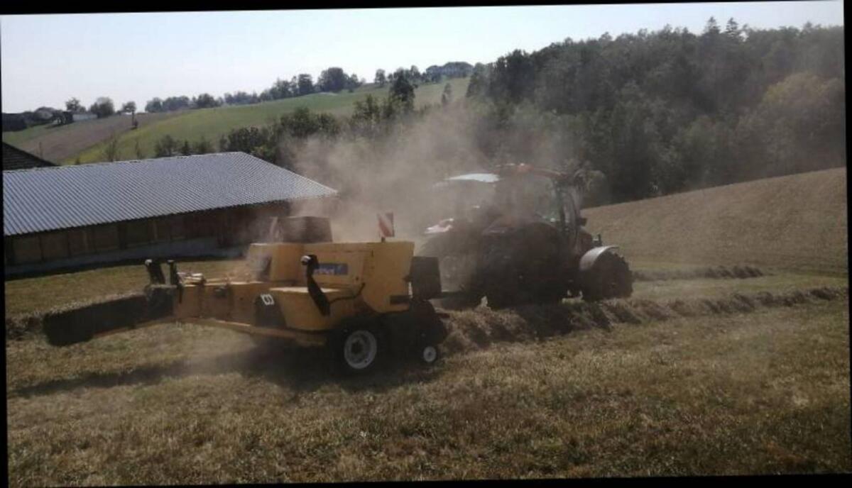 Bio Heuballen klein 1