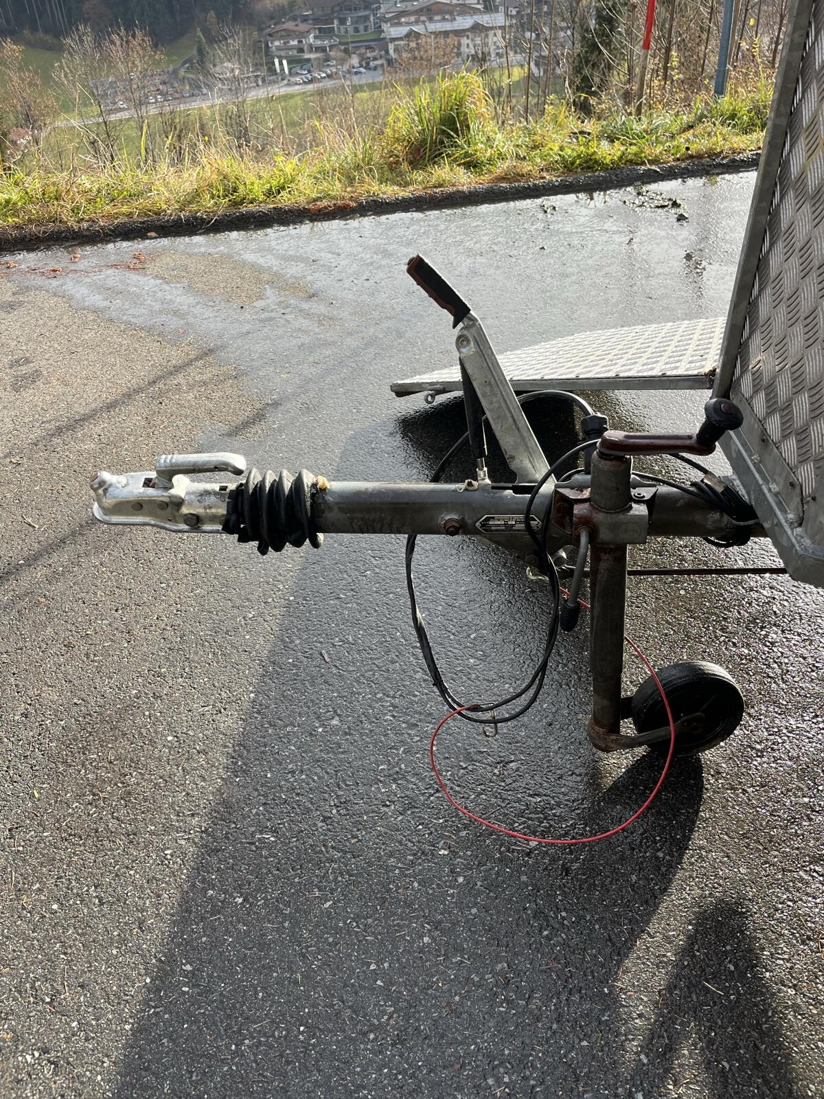 Viehanhänger im guten Zustand 3