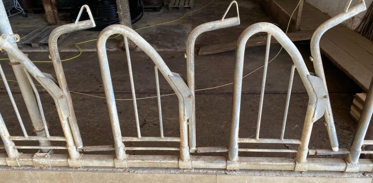 Fressgitter Schauer Schwedenfressgitter 2