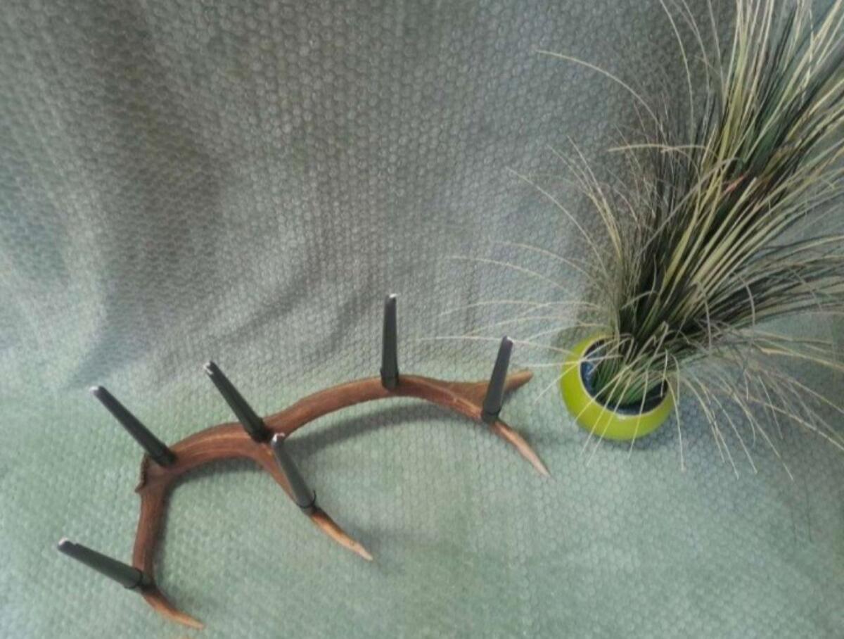 Hirschgeweih mit 6 Stabkerzen, Kerzenhalter, Kerzenständer 2