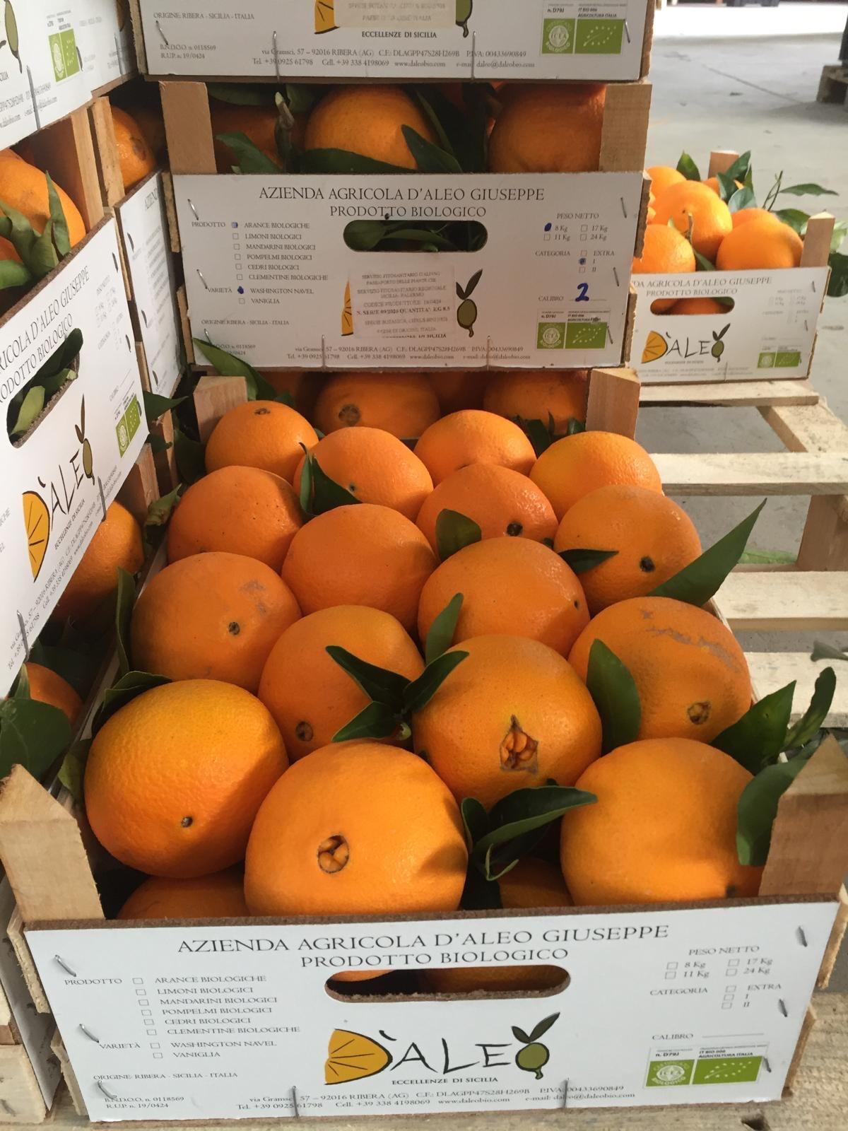 Bioprodukte aus Italien importiert 2