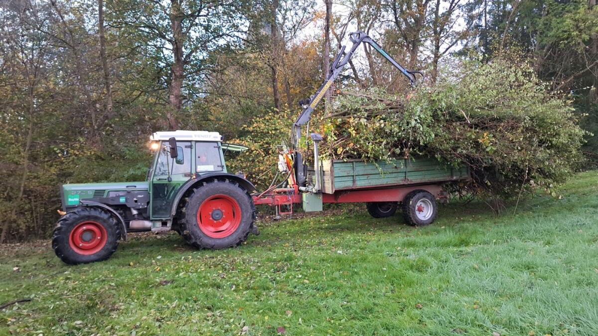 Rückewagen Kipper mit Kran Reisch 2