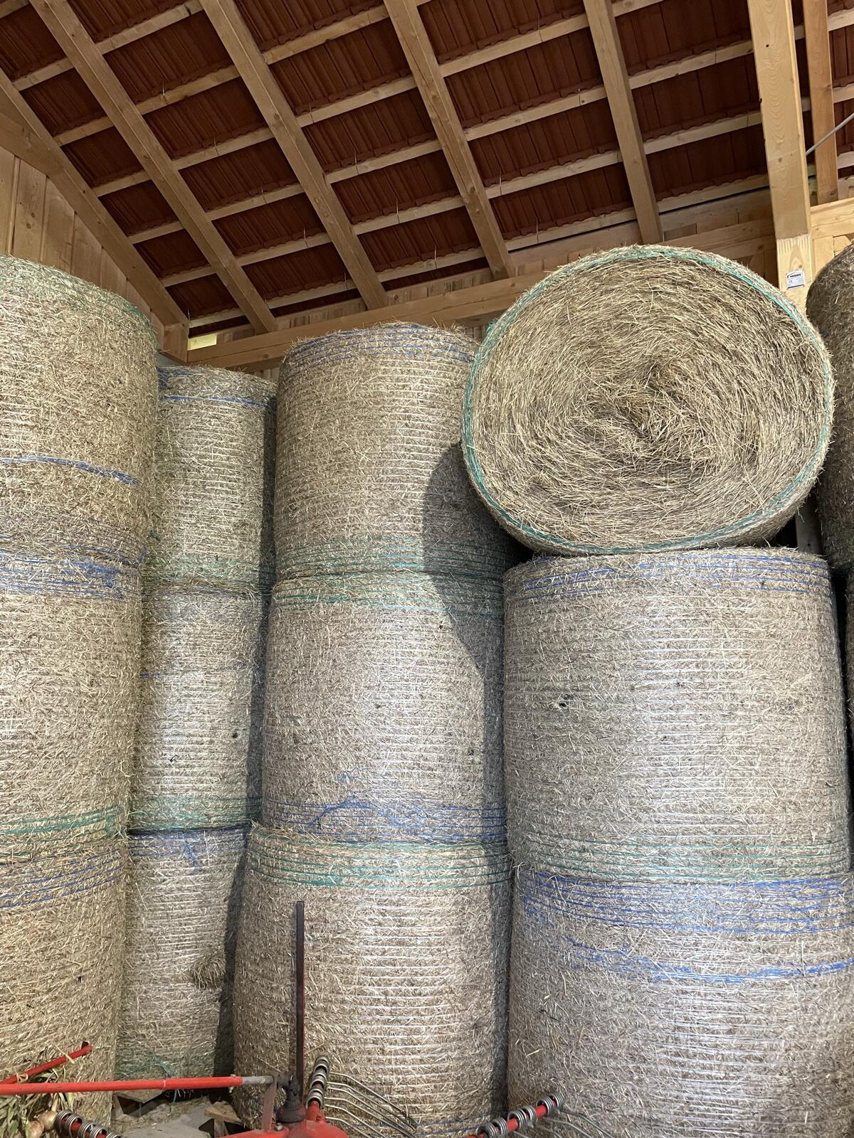 Heu 1. Schnitt, Pferdeheu 2