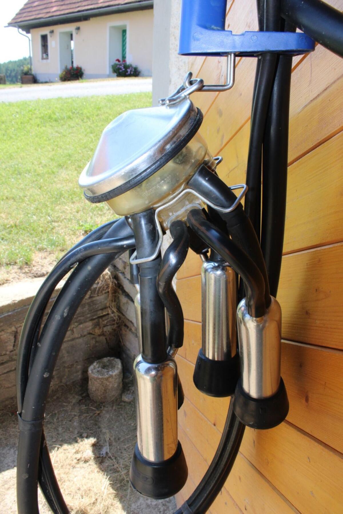 Melkanlage gebraucht 1