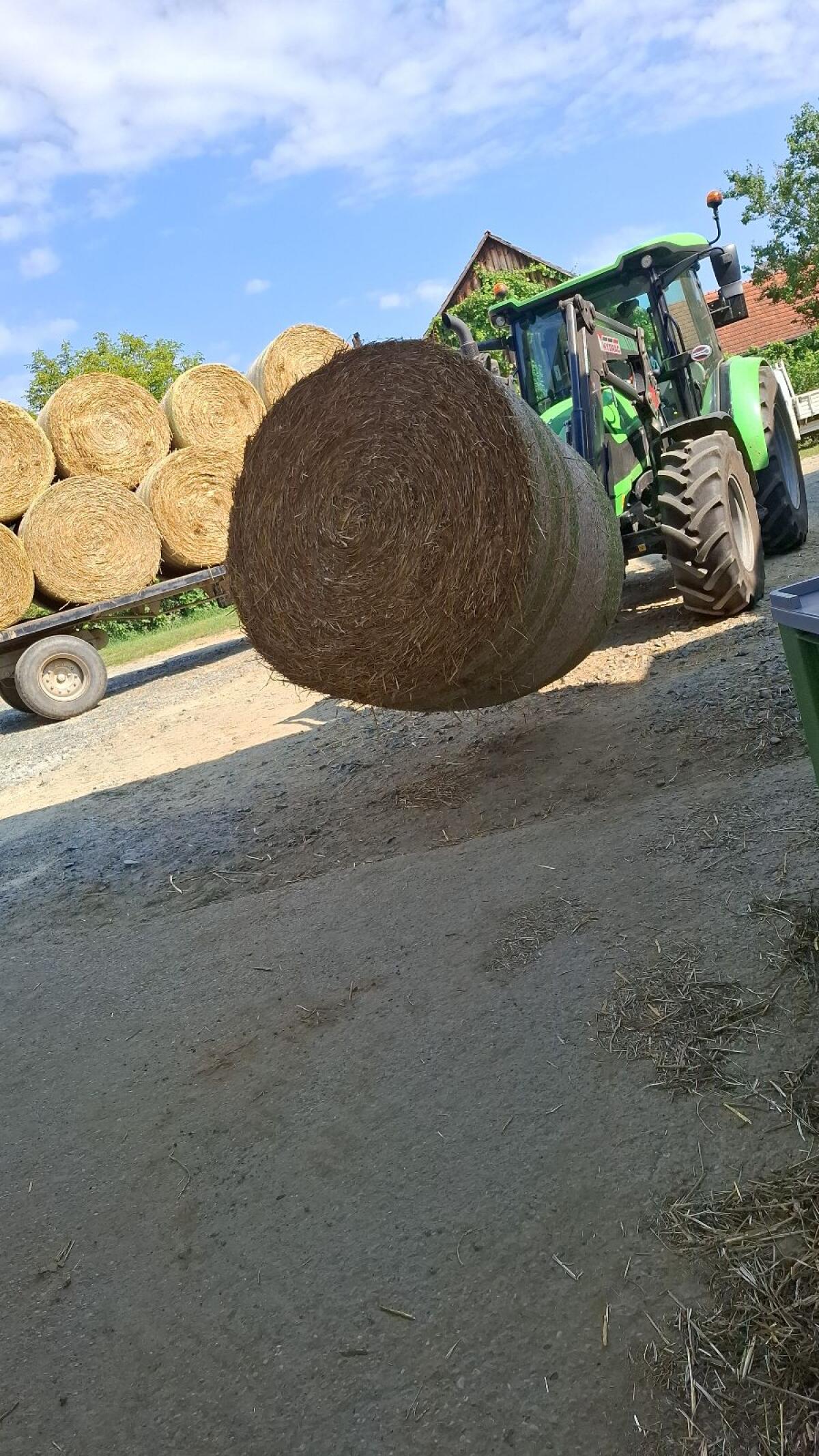 Weizenstroh Ernte 2025 1