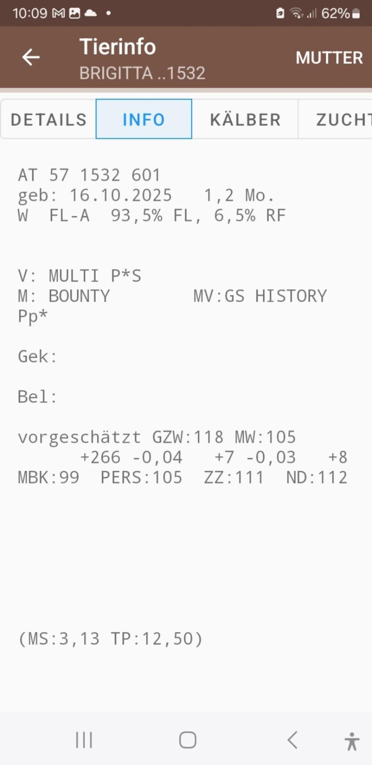Kuhkalb Bio hornlos 2