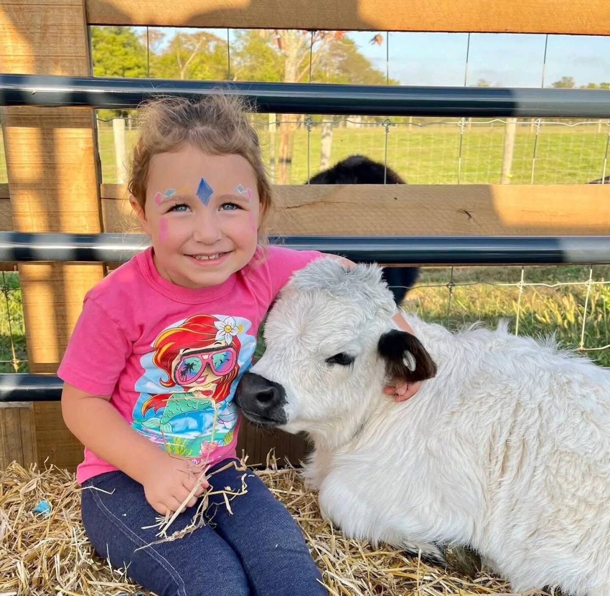 Mini-Hochlandrinder für Zuhause 1