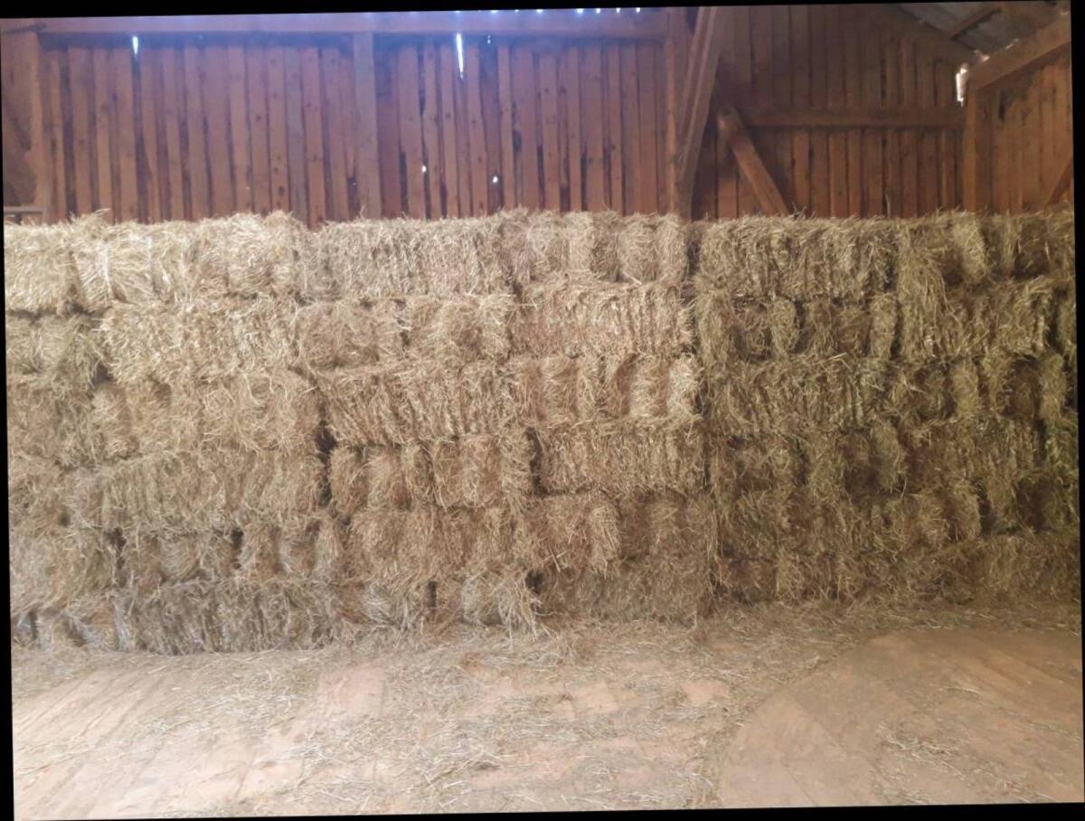 Heu Kleinballen 20 kg 1