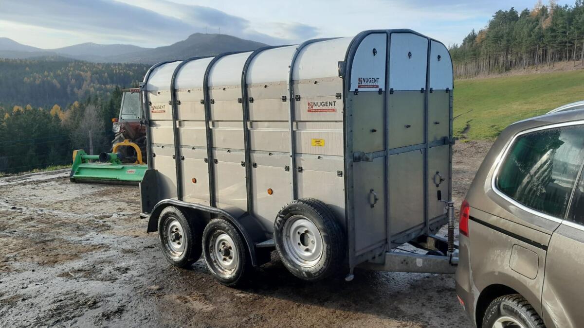 Viehanhänger Nuget 3,5t Gesamt 2