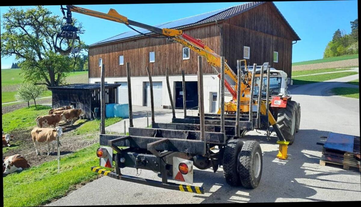 Rückewagen Eigenbau 3