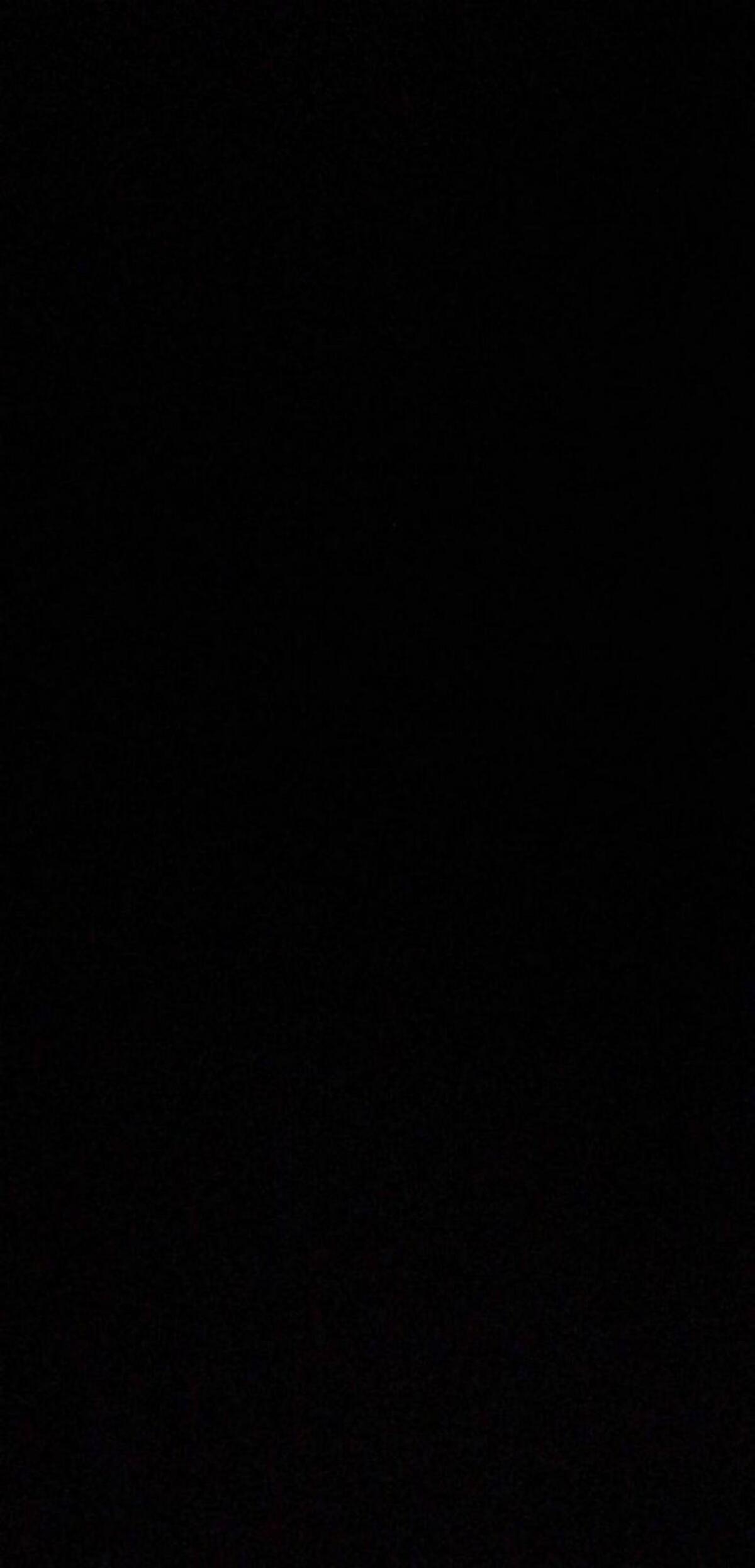 Schlachte Steyr 545 1