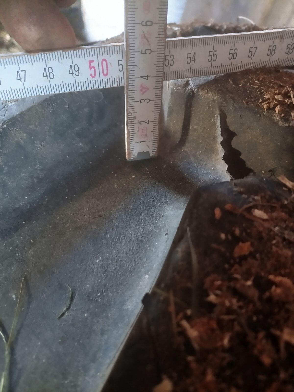 Traktor Reifen 380/70 R24 3