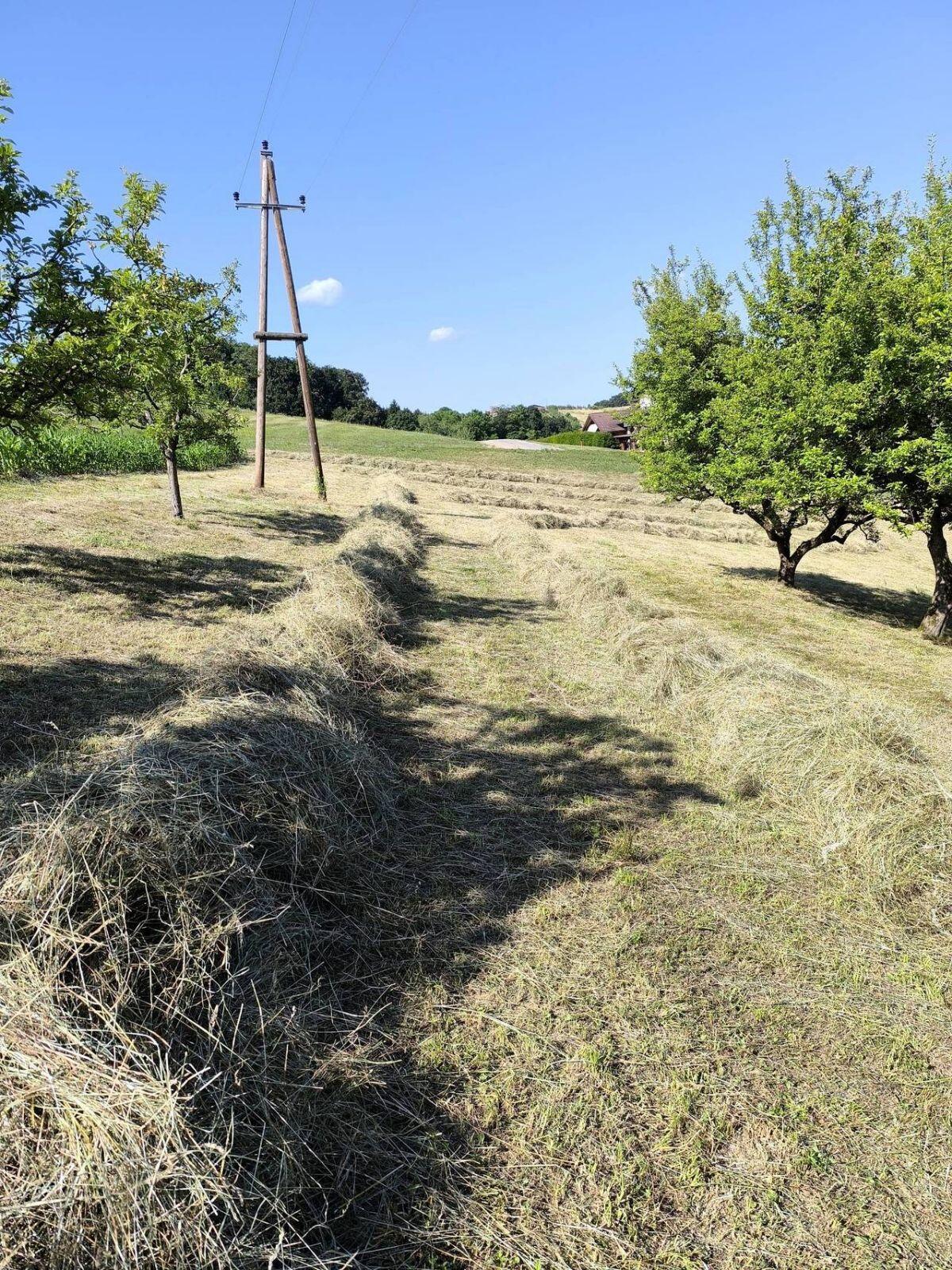 Heuballen klein, Pferdeheu, Heu 3