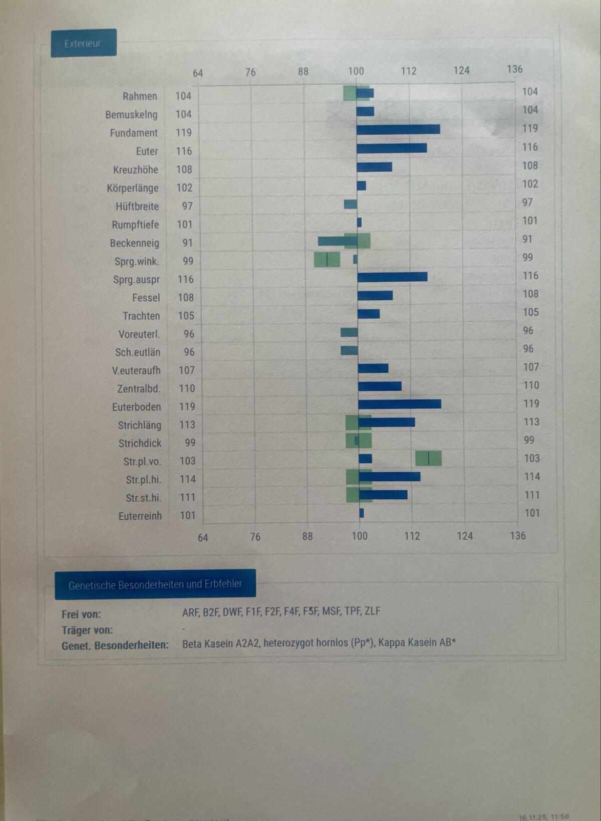 Hornlose Deckstiere zu verkaufen 3