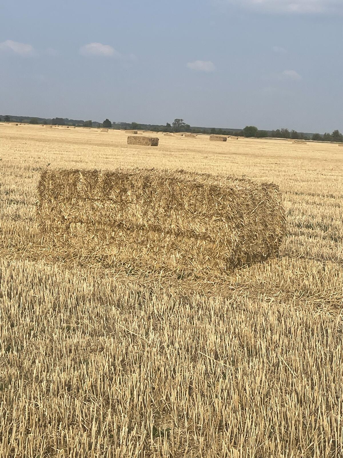 Weizenstroh 2,40x1,20x1,00m 1