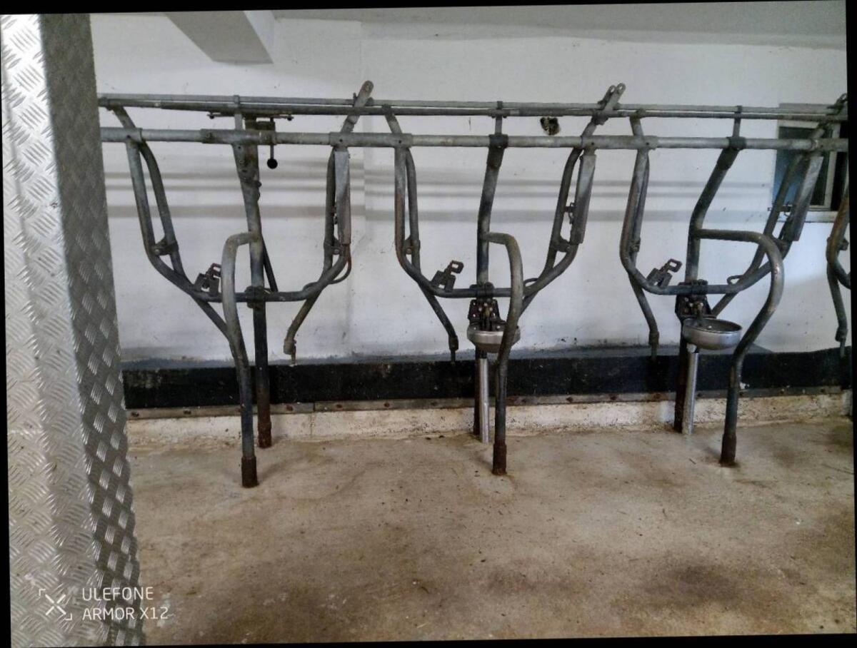 Aufstallung Fa. Braun 2