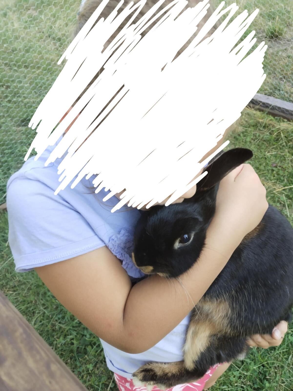 Liebe Lohhäsin sucht neuen Wirkungskreis 2