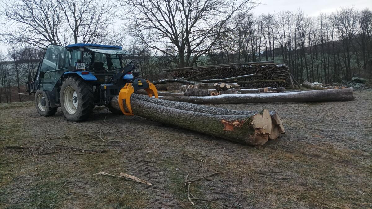 Brennholz Esche, Erle, Fichte 3