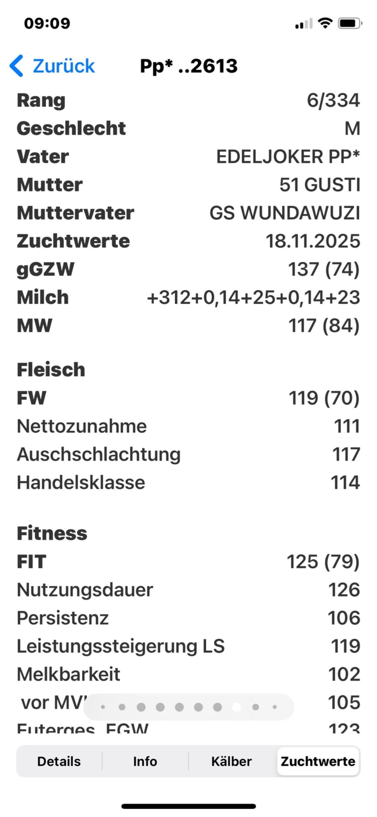 Verkaufe genotypisiertes FL Stierkalb 2