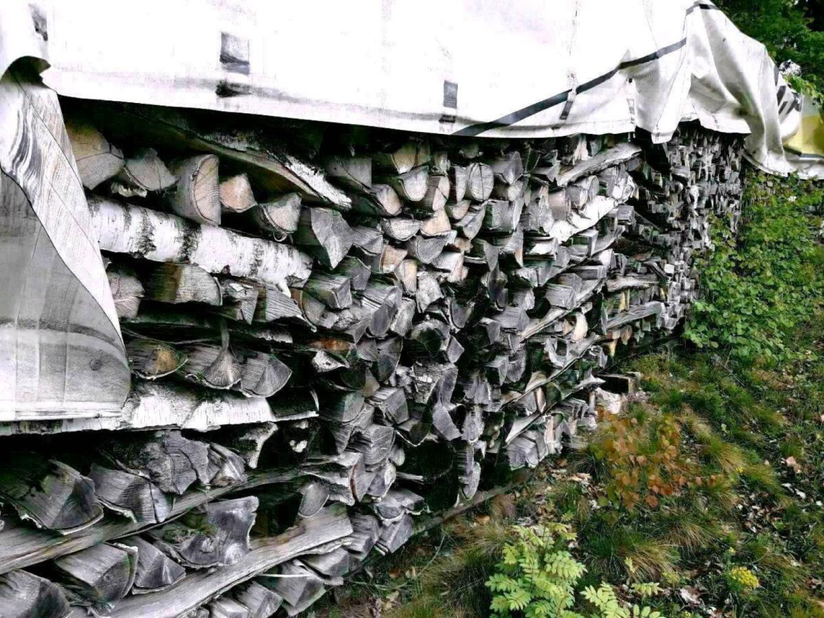 Buchen Brennholz Scheiter 2