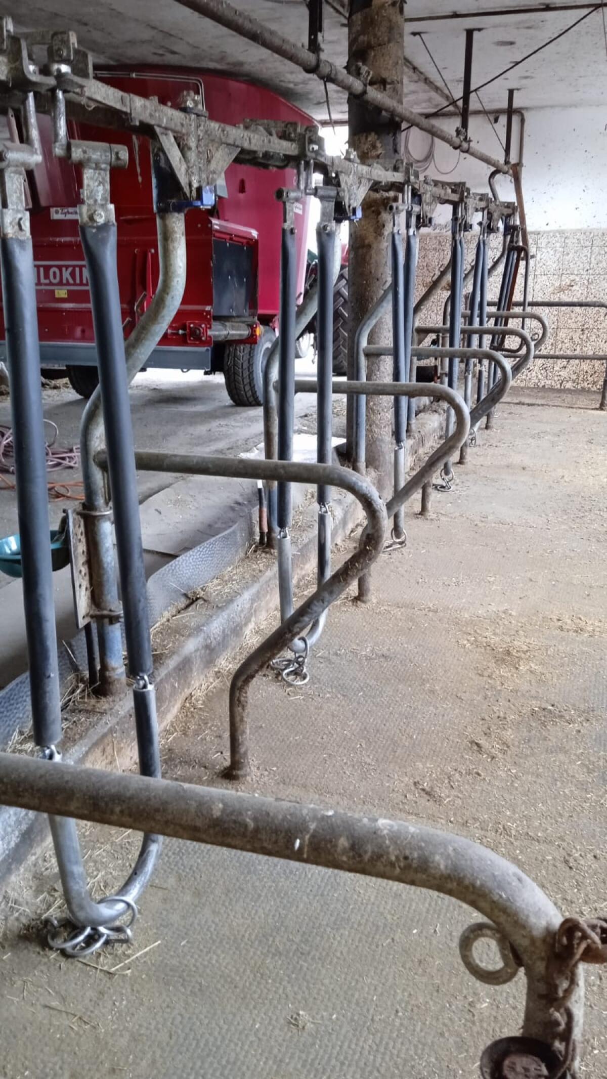 Selbstfang-Halsrahmen Felder 1